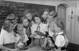 Reportage aus einer Schule in Berlin-Köpenick : Lehrerin mit Schülern vor Vogel-Präparaten