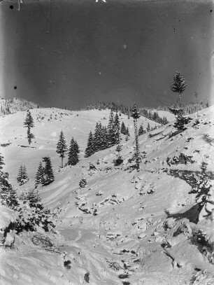 Berghang : Schneebedeckter Berghang.