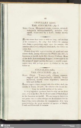 Cucullaea minuta. Tab. CCCCXLVII. - fig. 3