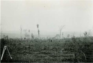 Abgebrannter Cerrado und Talungslandschaft im Osten in der Nähe von Santo Antônio