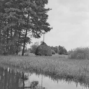 Heuschober auf einer Wiese am Trotzkefließ bei Lehde. : Kopjenja ,,Stogi" na łuce při groblach pola Lědow.