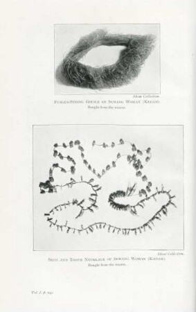 Fungus-string girdle of Semang woman (Kedah). Seed and tooth necklace of Semang woman (Kedah)