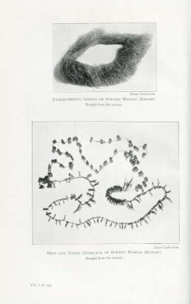 Fungus-string girdle of Semang woman (Kedah). Seed and tooth necklace of Semang woman (Kedah)