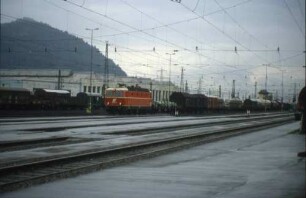 Bludenz Lok 1044 082 Güterzug 44673