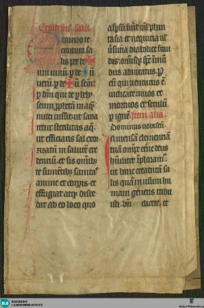 Missale, Fragment - Cod. Karlsruhe 1389