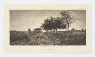Soleil couché
