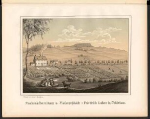 Flachsaufbereitung u. Flachsgeschäft v. Friedrich Lohse in Schlettau. : Textilwarenherstellung