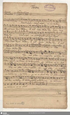Stabat mater. Arr - Mus.3005-D-502a : V (4), Coro, orch; PayP 77