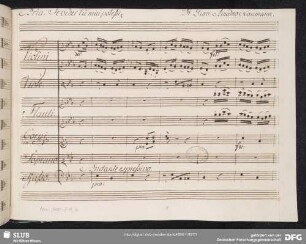 Se veder tu mai potessi - Mus.3480-J-11,10 : S, orch, b - E|b