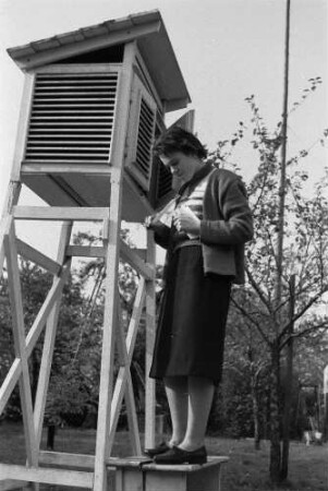 Radebeul-Wahnsdorf, Altwahnsdorf 12. Wetterwarte. Mitarbeiterin an einer Thermometerhütte
