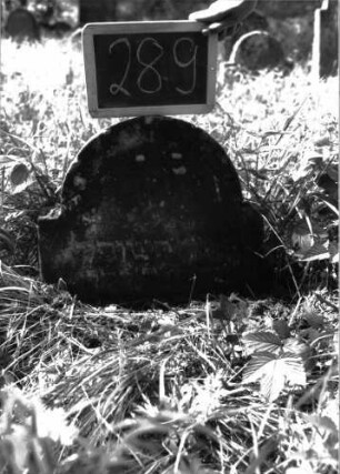Grabstein 289 (Index: 100103157) Material: Sandstein Zustand: leicht verwittert, eingesunken Maße HxBxT: 46x48x5 cm Beschreibung: Stele, eingezogener Rundbogenabschluss, Schriftfeld eingetieft: Grabstein 289