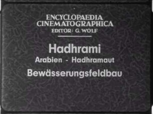 Hadhrami (Arabien, Hadhramaut) - Bewässerungsfeldbau