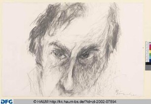 Selbstbildnis als Ausschnitt mit Augen und Nase