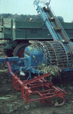 Gezogener Zuckerrüben-Rodelader