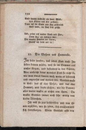 18. Die Wespen und Hummeln
