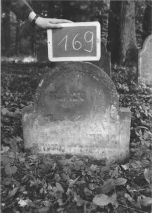Grabstein 169 (Index: 99894831) Material: Sandstein Zustand: verwittert, abgeblättert, eingesunken Maße HxBxT: 57x56x8 cm Beschreibung: Stele mit eingezogenem Rundbogenabschluss: Grabstein 169