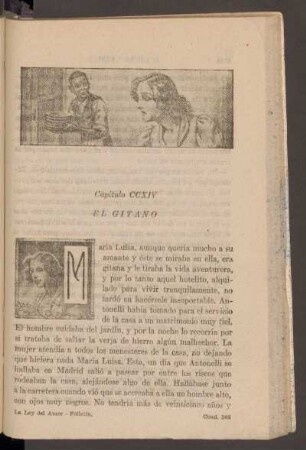 Capítulo CCXIV - El gitano