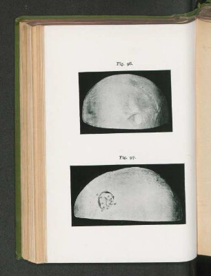 Fig. 96. Fig. 97.