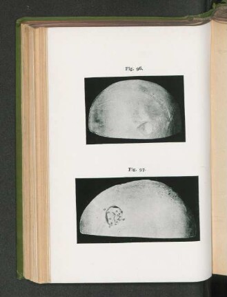 Fig. 96. Fig. 97.