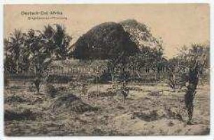 Feld mit Hütte in Deutsch-Ostafrika