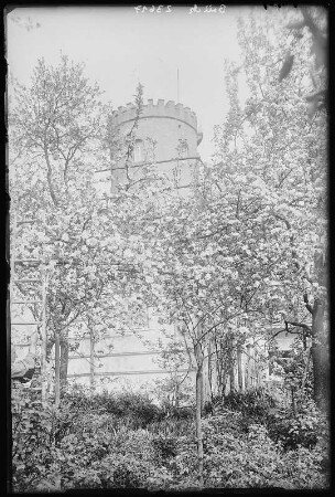 Collmberg. Collmberg bei Oschatz