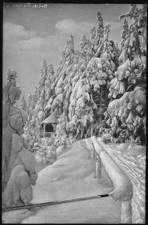 Altenberg. Winteraufnahme - Am Raupennest