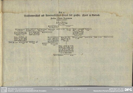 Taf. 5. Nachkommenschaft und Anverwandtschaft Peters des grossen, Czars in Rusland