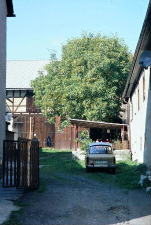Blick in einen Hof mit Nussbaum, hinten Scheune