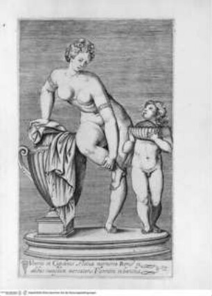 Antiquarum statuarum urbis Romae, quae in publicis privatisque locis visuntur, icones. Romae. Ex typis Laurentii Vaccarii... MDLXXXIIII., Tafel [32]: Veneris et Cupidinis statua marmorea Romae in aedibus cuiusdam mercatoris Florentini in banchis (nach der Antike)