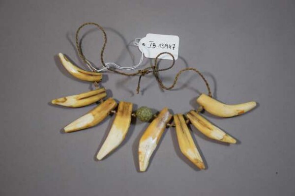 Necklace made from animal teeth