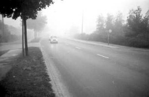 Autofahren im Nebel