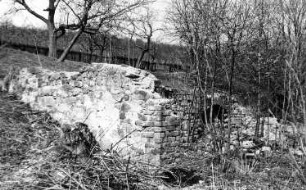 Triebischtal-Taubenheim. Niedermühle, Ruine