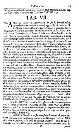 Tab. VII.