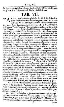 Tab. VII.