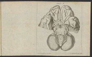 Tabula II.