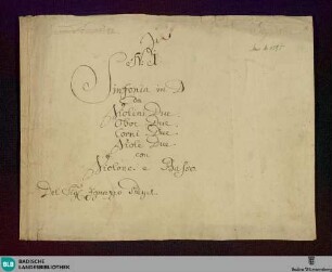 Symphonies - Don Mus.Ms. 1595 : D; BenP 124