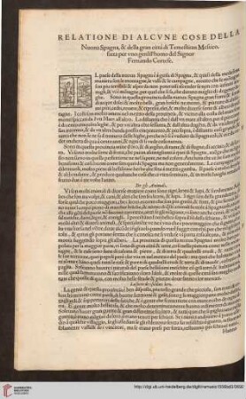 Relatione di alcune cose della Nuona Spagna [...]