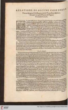 Relatione di alcune cose della Nuona Spagna [...]