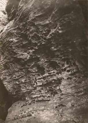 Elbsandsteingebirge. Wabenstruktur eines Felsens bei Bodenbach