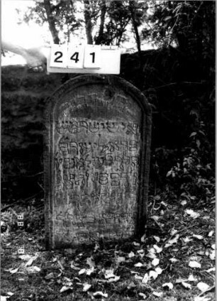 Grabstein 241