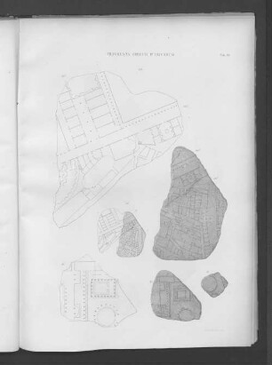 Fragmenta Operum Publicorum.