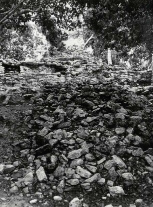 Yukatan, Coba: Der Urwald ist der schlimmste Feind der alten Maya Stätten. Trümmer im Dschungel nahe der Pyramide La Iglesia
