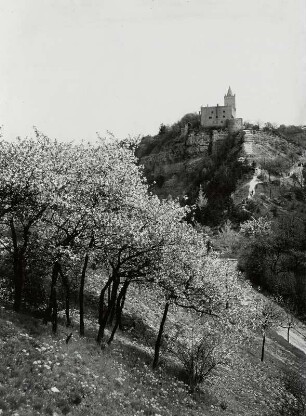 Blütenpracht um die Rudelsburg : Bad Kösen. Rudelsburg. Ansicht von Westen mit Palas