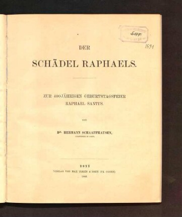 Der Schädel Raphaels : zur 400jähr. Geburtstagsfeier Raphael Santi's