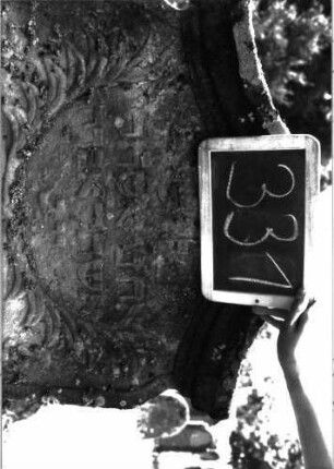 Grabstein 331 (Index: 100103082) Material: Sandstein Zustand: stark verwittert, weitgehender Textverlust Maße HxBxT: 129x68x12 cm Beschreibung: Stele, Konvexbogenabschluss mit Verdachung, unter der Verdachung Einzüge, plastische Palmzweige und Blüten, Schriftfeld eingetieft , Schrift erhaben Symbolik: Palmwedel, Blüten: Grabstein 331 (Detailaufnahme 2)
