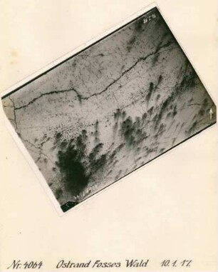 Foto des Geländes am Ostrand des Fosses-Waldes (Luftbild)