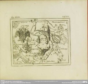 Fig. XXVI