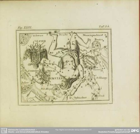 Fig. XXVI
