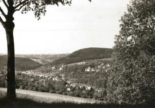 Bad Gottleuba, Blick auf die Stadt von der Straße Berggießhübel-Peterswald, rechts Helleberg