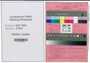 Entnazifizierung Kaethe Noellen , geb. 18.07.1909 ()